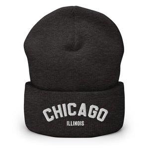 Chicago Illinois Cuffed Beanie